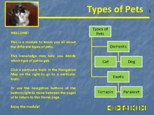 Types of Pets WELCOME Types of Pets This