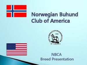 Norwegian buhund club of america