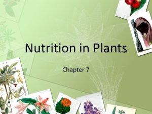 Learning objectives of nutrition in plants class 7