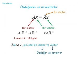 hatrlatma zdeerler ve zvektrler Bir skaler Bir matris