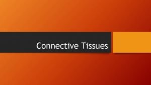 What do all connective tissues have in common