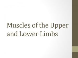Muscles of the Upper and Lower Limbs Scapula