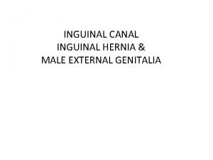 INGUINAL CANAL INGUINAL HERNIA MALE EXTERNAL GENITALIA Inguinal
