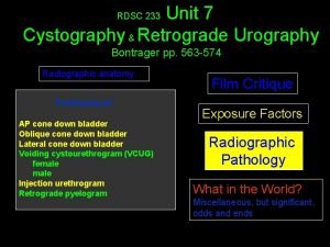 Unit 7 Cystography Retrograde Urography RDSC 233 Bontrager