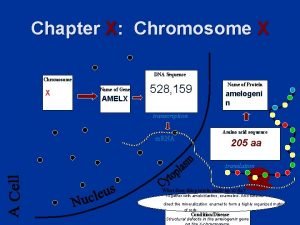 Chapter X Chromosome X DNA Sequence Chromosome X