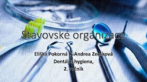 Stavovsk organizace Elika Pokorn Andrea Zemkov Dentln hygiena