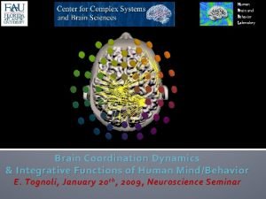 Human Brain and Behavior Laboratory Brain Coordination Dynamics