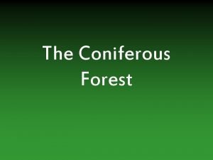 The Coniferous Forest Coniferous Forest The coniferous forest