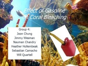 Effect of Gasoline on Coral Bleaching Group 4