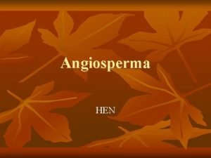 Angiosperma HEN Evolun situace Angiosperm Angiosperma urit monofyletick