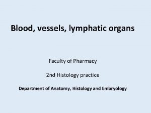 Blood vessels lymphatic organs Faculty of Pharmacy 2