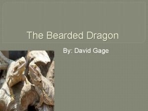 Bearded dragon self defense