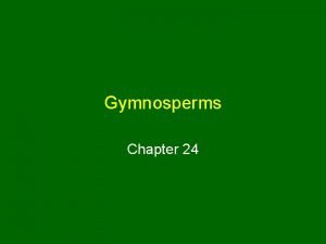 Ecological importance of gymnosperms