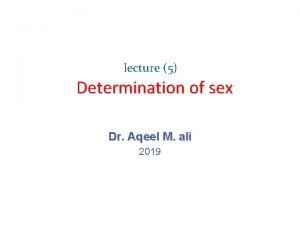 lecture 5 Determination of sex Dr Aqeel M