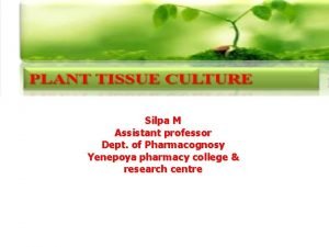 Applications of plant tissue culture in pharmacognosy