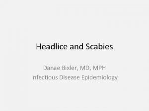 Pictures of body lice and scabies