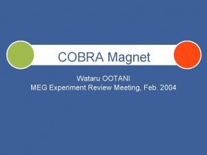 COBRA Magnet Wataru OOTANI MEG Experiment Review Meeting