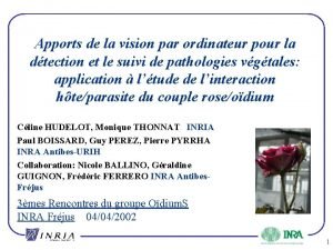 Apports de la vision par ordinateur pour la