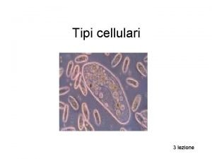 Tipi cellulari 3 lezione Cellule procariotiche ed eucariotiche