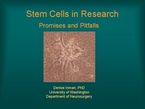 Conclusion of stem cells