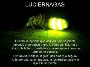 La leyenda de las luciérnagas