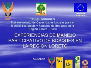 COMISIN EUROPEA FOCAL BOSQUES Fortalecimiento de Capacidades Locales