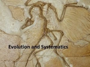 Evolution and Systematics EARLY THEORIES OF EVOLUTION DARWIN