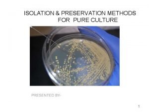 ISOLATION PRESERVATION METHODS FOR PURE CULTURE 1 Pure