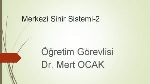 Merkezi Sinir Sistemi 2 retim Grevlisi Dr Mert