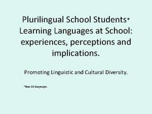 Plurilingual School Students Learning Languages at School experiences