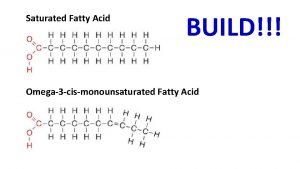Trans fat vs cis fat