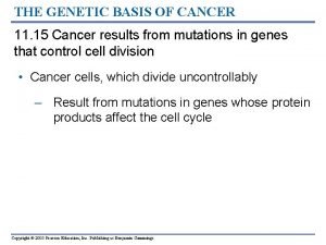 THE GENETIC BASIS OF CANCER 11 15 Cancer