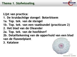 Thema 1 Stofwisseling Lijst van practica 1 De