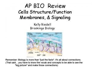 AP BIO Review Cells StructureFunction Membranes Signaling Kelly