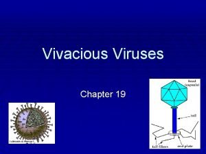 Vivacious Viruses Chapter 19 I Virus A Characteristics