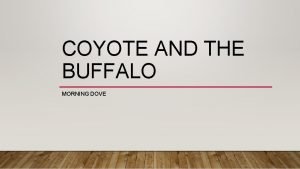 Coyote and the buffalo answers