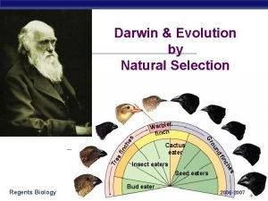Darwin Evolution by Natural Selection ch he fin