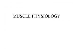 MUSCLE PHYSIOLOGY MUSCLE INTRODUCTION Muscle cells like neurons