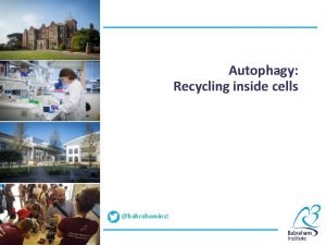 Autophagy Recycling inside cells babrahaminst Introduction to autophagy