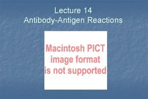 Lecture 14 AntibodyAntigen Reactions Binding of the epitope