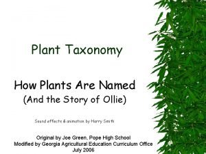 Scientific names of plants are expressed in latin because