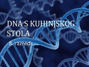 DNA S KUHINJSKOG STOLA 8 8 razredi Deoksiribonukleinska