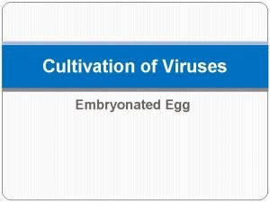 Cultivation of Viruses Embryonated Egg Viruses do not