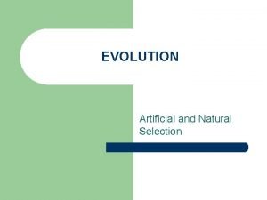 EVOLUTION Artificial and Natural Selection Natural Variation l