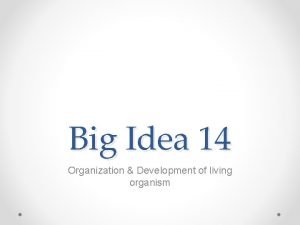 Big Idea 14 Organization Development of living organism