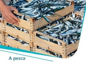 A pesca A pesca O oceano uma fonte