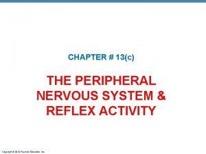 CHAPTER 13c THE PERIPHERAL NERVOUS SYSTEM REFLEX ACTIVITY
