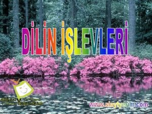 Dilin göndergesel işlevi