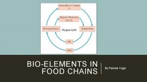 BIOELEMENTS IN FOOD CHAINS By Pamela Yugsi THE