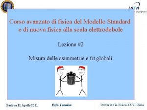 Corso avanzato di fisica del Modello Standard e